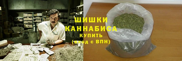 бошки Алексин