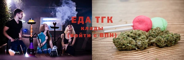 хмурый Арсеньев