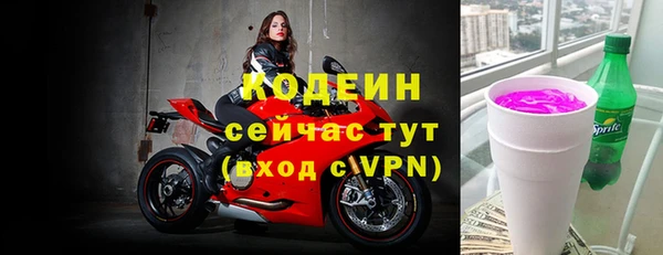 хмурый Арсеньев