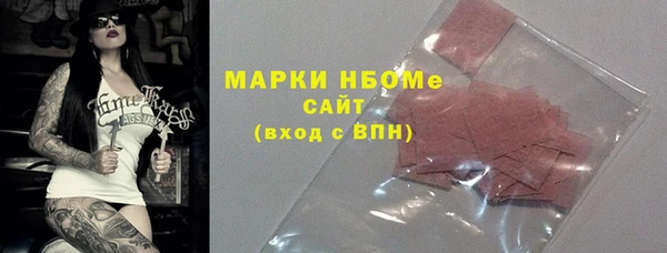 хмурый Арсеньев