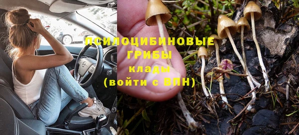 ALPHA PVP Осинники