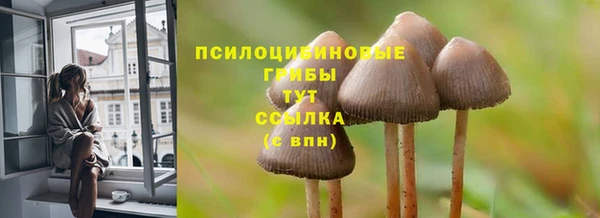 амф Армянск