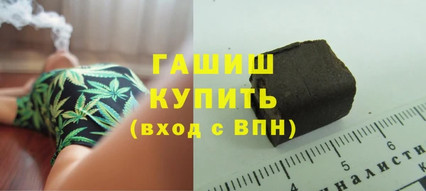 хмурый Арсеньев