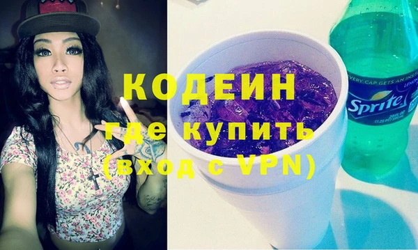 хмурый Арсеньев