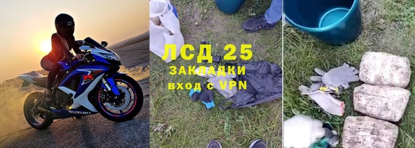 хмурый Арсеньев
