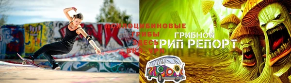 хмурый Арсеньев